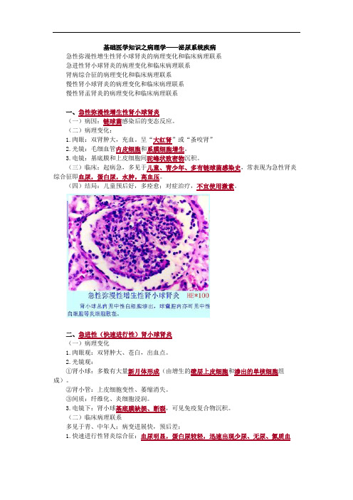 基础医学知识之病理学——泌尿系统疾病