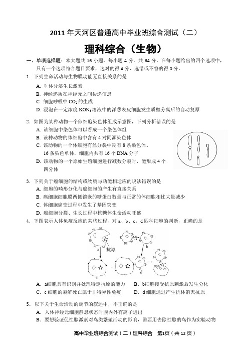 2011年天河区普通高中毕业班综合测试(二)及答案