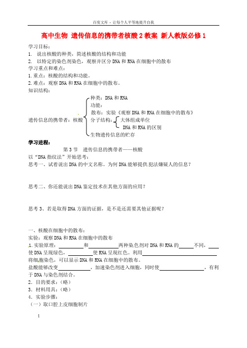 高中生物2.3遗传信息的携带者核酸2教案新人教版必修1