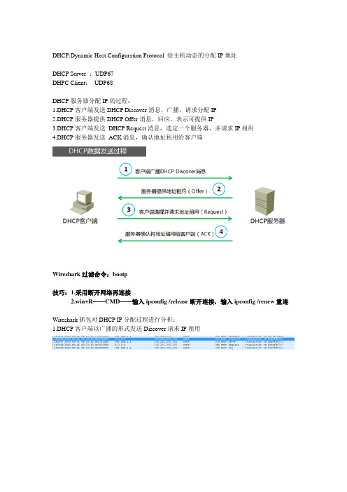 Wireshark对DHCP建立过程进行抓包分析