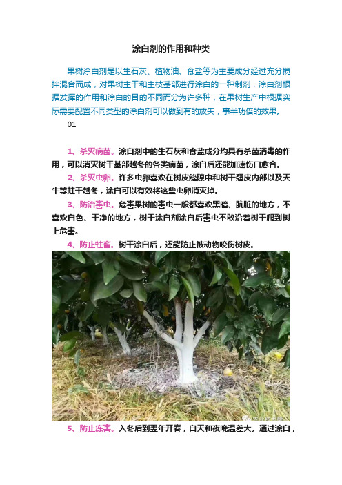 涂白剂的作用和种类