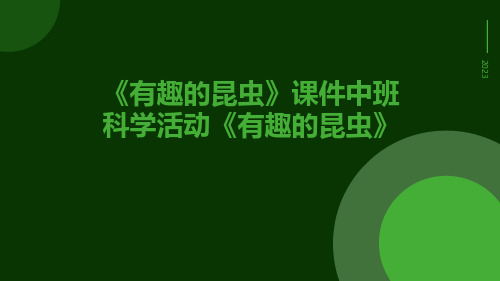 《有趣的昆虫》课件中班科学活动《有趣的昆虫》