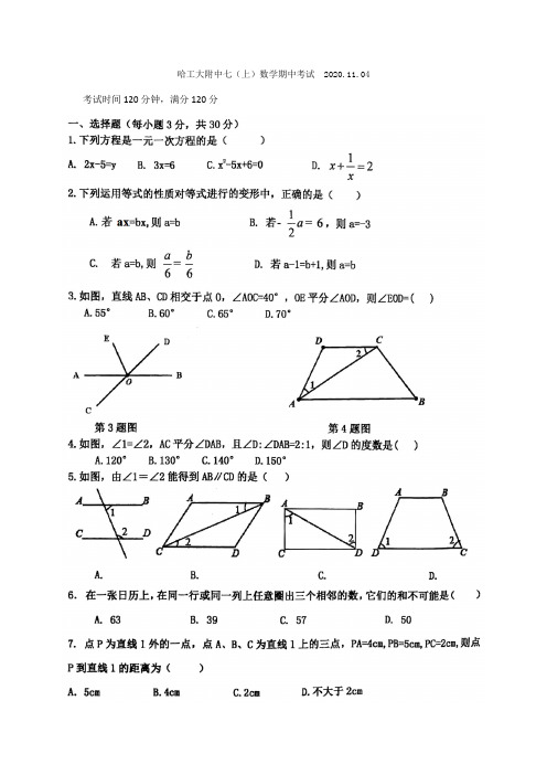 最新七年级数学上学期期中考试卷 (7)