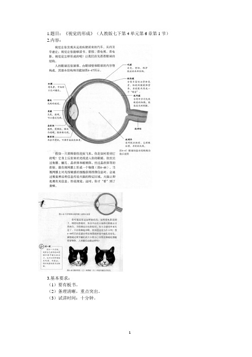 视觉的形成教案