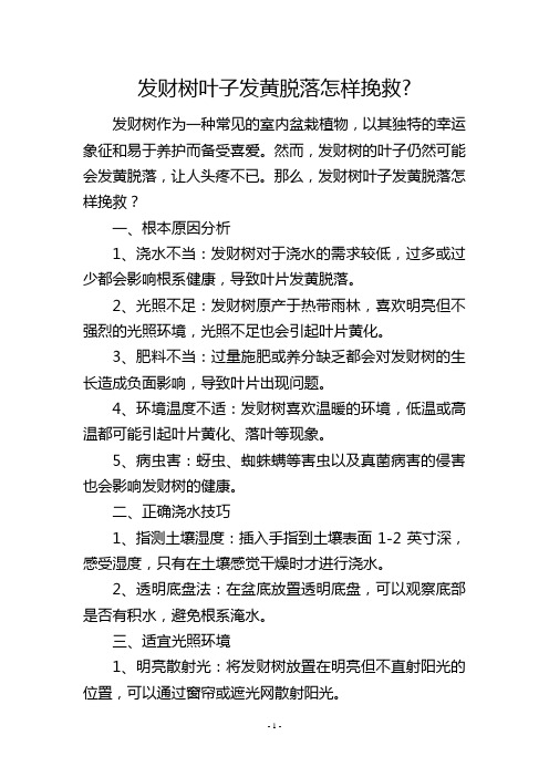 发财树叶子发黄脱落怎样挽救-