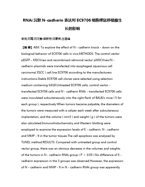 RNAi沉默N-cadherin表达对EC9706细胞裸鼠移植瘤生长的影响