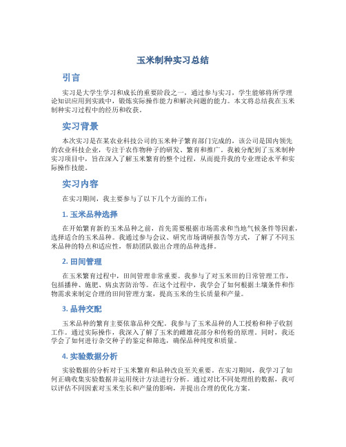 玉米制种实习总结