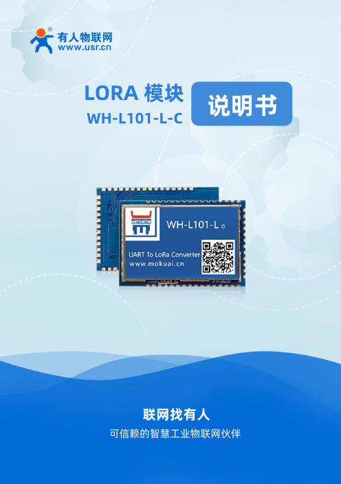 usr-iot-wh-l101-l-c-lora-模块-使用说明书