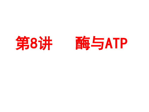 第8讲 酶与ATP