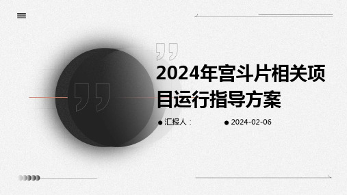 2024年宫斗片相关项目运行指导方案