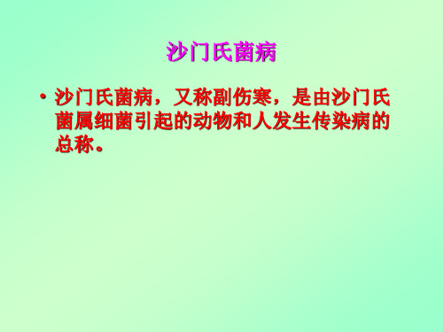 沙门氏菌病动物传染病