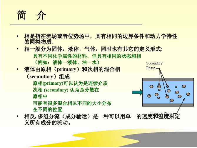 多相流模型数值模拟(中文)