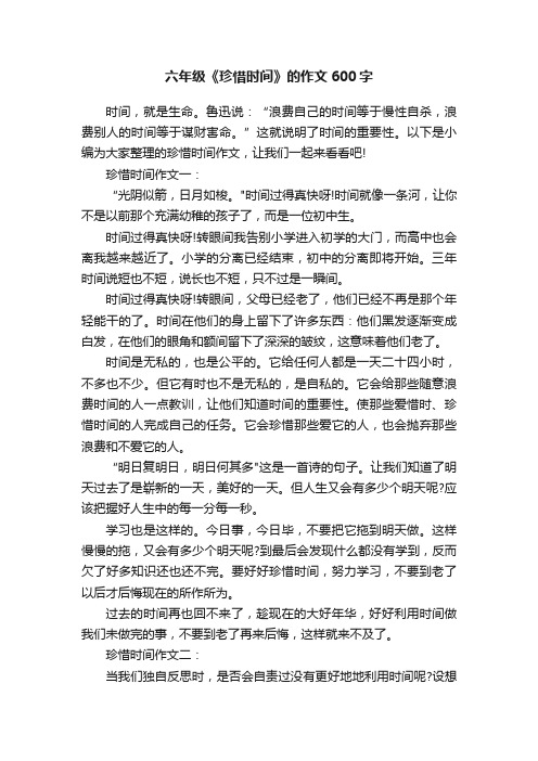 六年级《珍惜时间》的作文600字