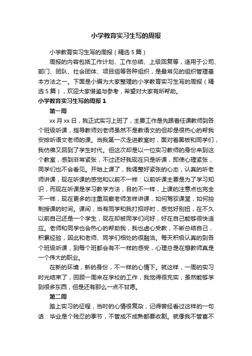 小学教育实习生写的周报