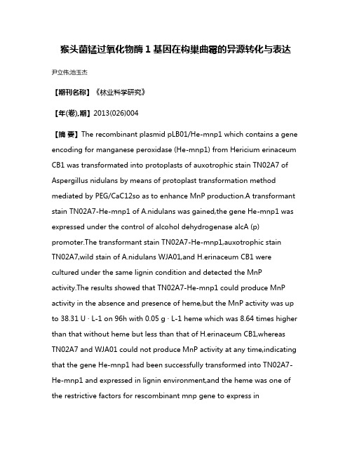 猴头菌锰过氧化物酶1基因在构巢曲霉的异源转化与表达