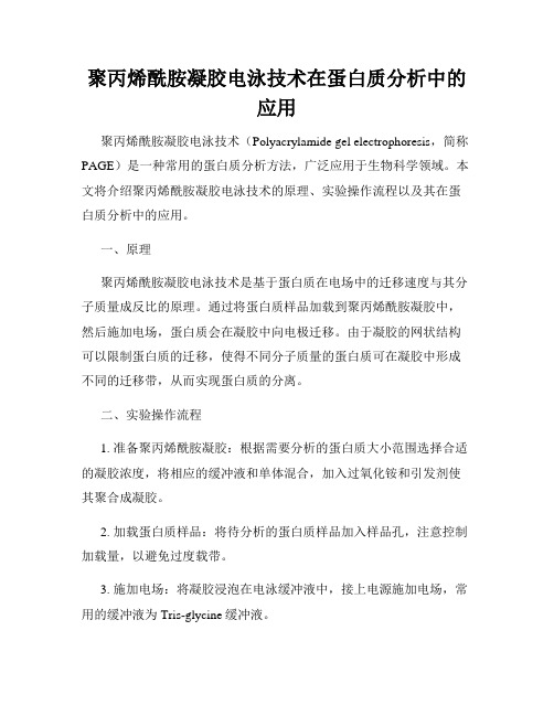 聚丙烯酰胺凝胶电泳技术在蛋白质分析中的应用