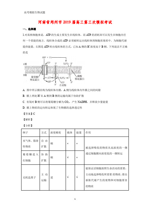 河南省郑州市2019届高三第三次模拟(三模)考试生物试题(答案+解析)