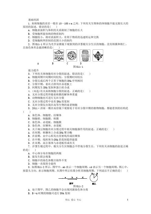 高三生物一轮复习课时作业11 细胞的增殖(广东专版)