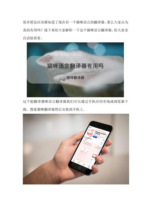 猫咪语言翻译器有用吗？