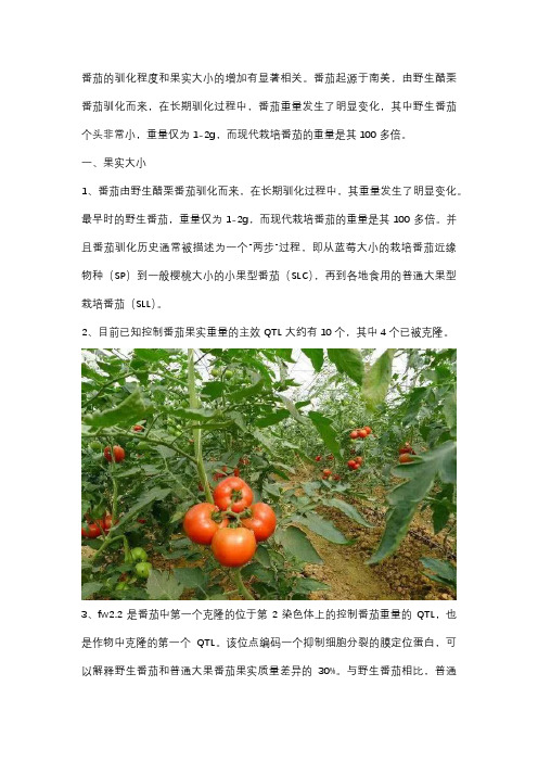 番茄的驯化程度与什么有显著相关