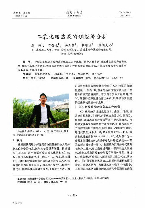 二氧化碳热泵的(火用)经济分析
