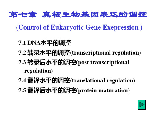 真核生物基因表达的调控