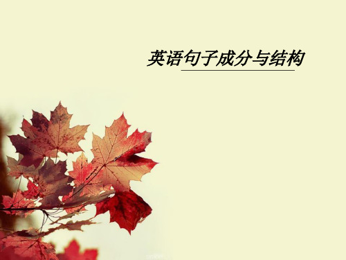 高中英语句子成分和结构讲解
