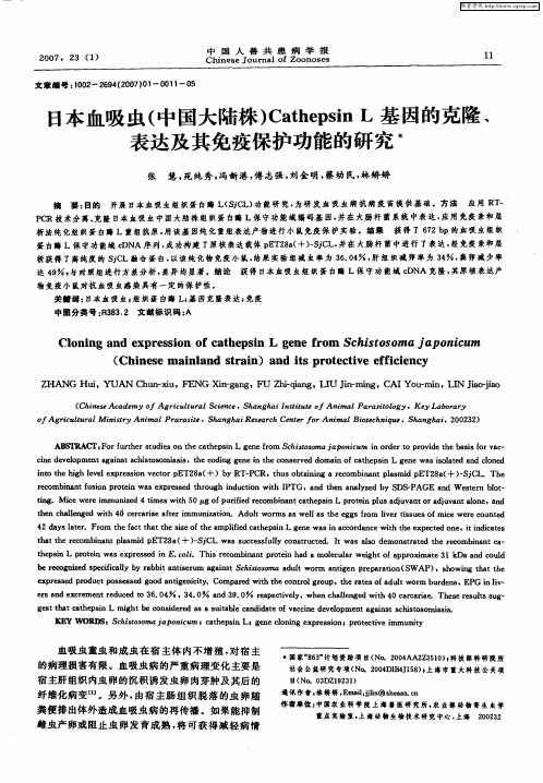 日本血吸虫(中国大陆株)CathepsinL基因的克隆、表达及其免疫保护功能的研究