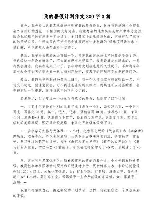 我的暑假计划作文300字3篇