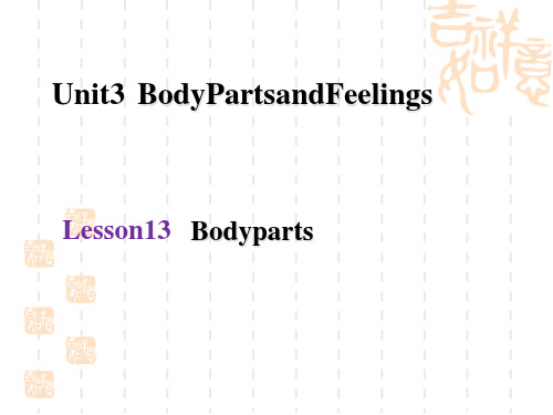 冀教版七年级上册授课课件 Lesson 13 Bodyparts