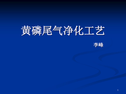 黄磷尾气净化工艺PPT幻灯片课件