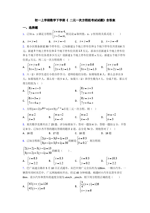 初一上学期数学下学期《 二元一次方程组考试试题》含答案