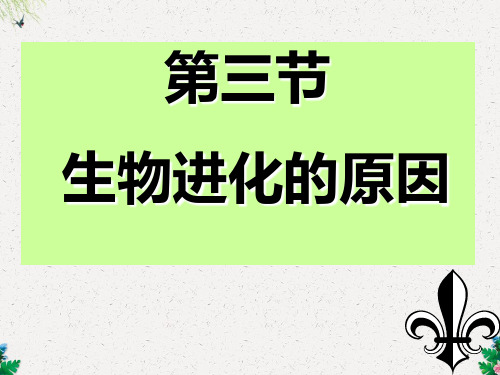 济南版八年级生物下册第五单元第一章第四节生物进化的原因 