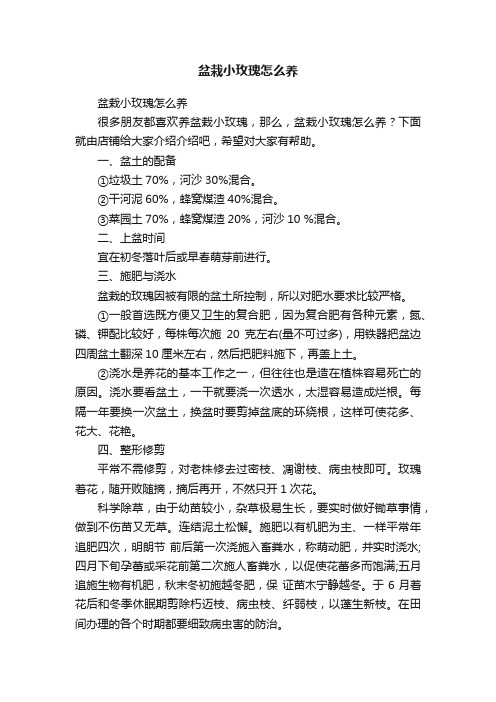 盆栽小玫瑰怎么养