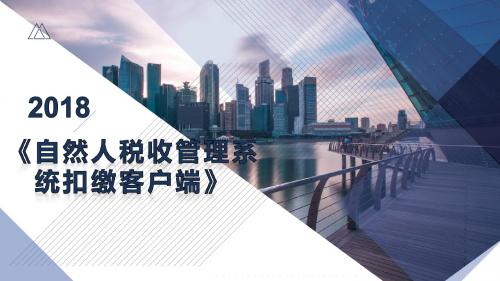 自然人税收管理系统扣缴客户端