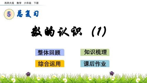 六年级下册数学总复习 1.1 数的认识 