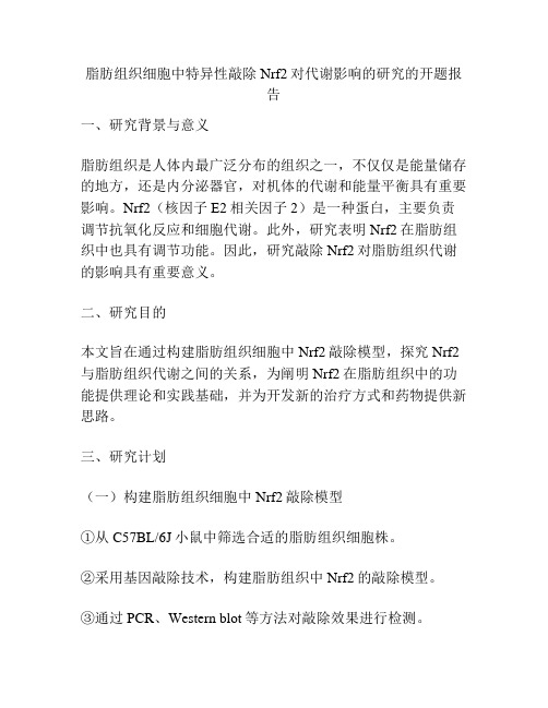 脂肪组织细胞中特异性敲除Nrf2对代谢影响的研究的开题报告