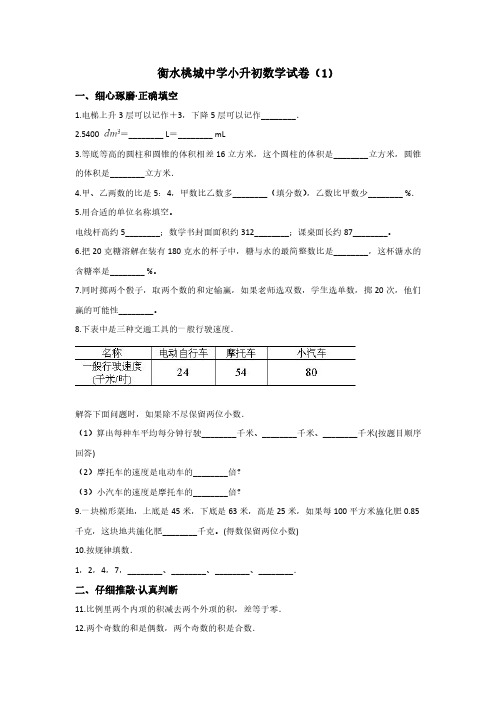 河北衡水桃城中学小升初数学试题(3套)