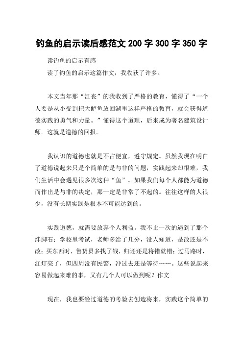 钓鱼的启示读后感范文200字300字350字