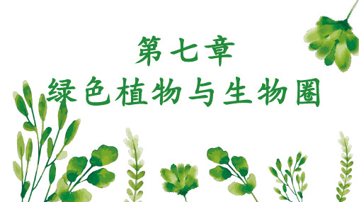 绿色植物与生物圈ppt课件