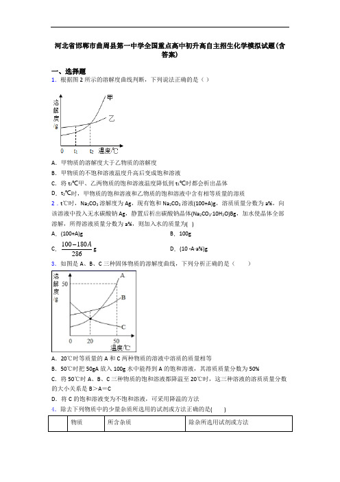 河北省邯郸市曲周县第一中学全国重点高中初升高自主招生化学模拟试题(含答案)