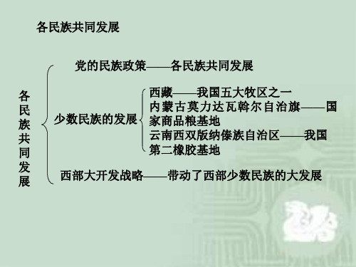 历史：第四单元民族团结与祖国统一(人教新课标八年级下)(PPT)4-4