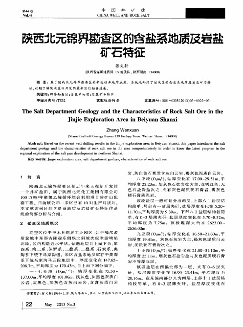 陕西北元锦界勘查区的含盐系地质及岩盐矿石特征