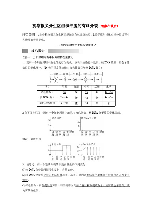 高中生物(必修第一册 人教版)讲义教案：观察根尖分生区组织细胞的有丝分裂(含答案)