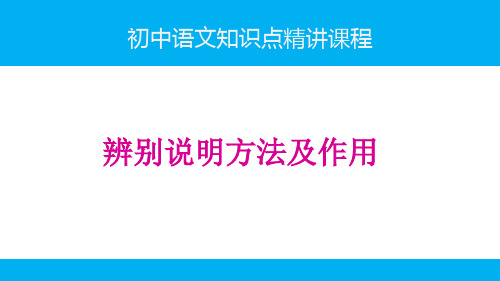 初中语文知识点-说明文阅读精讲课件(共5讲)