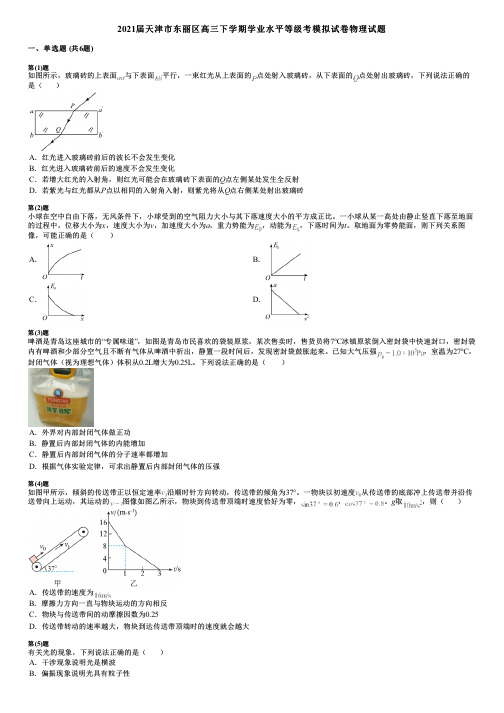 2021届天津市东丽区高三下学期学业水平等级考模拟试卷物理试题 (2)