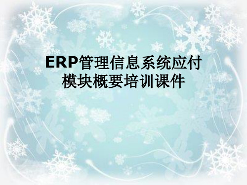 ERP管理信息系统应付模块概要培训课件