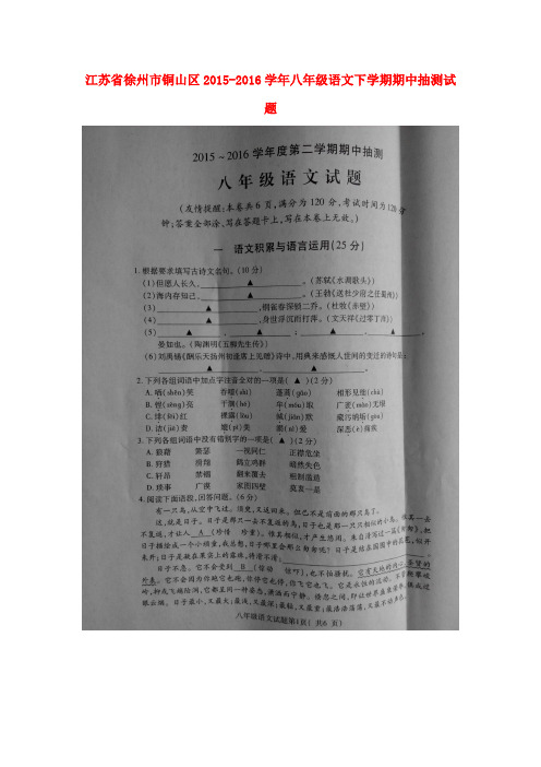 江苏省徐州市铜山区2015-2016学年八年级语文下学期期中抽测试题(扫描版) 苏教版