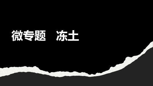 2023届高考地理一轮复习课件微专题  冻土