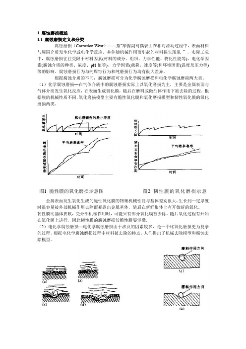 金属材料的腐蚀磨损行为、防护技术与评价方法